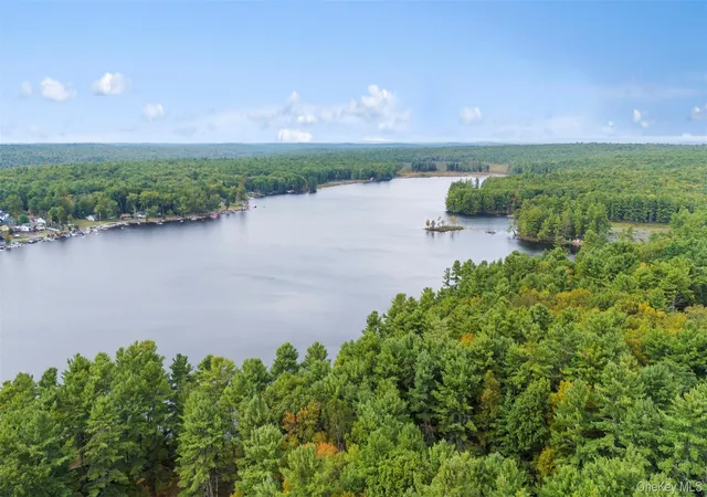 Homes for sale in Lumberland, NY | 2 May Pl, Lumberland, NY 12737 | MLS# 1012823
