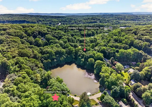 34th image of 1 Woodland Dr, Mount Pleasant, NY 10570 | MLS# 1013140