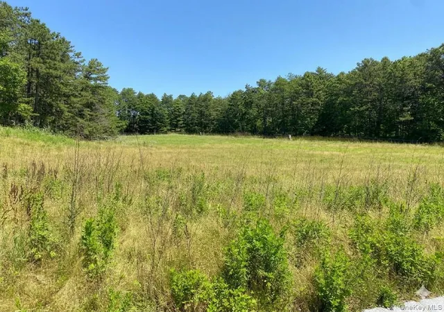 Photo 2 of Land for sale at 23 Sophia Ct, Westhampton, NY 11977 | MLS# 1013340 | Listing updated on 2026-07-25