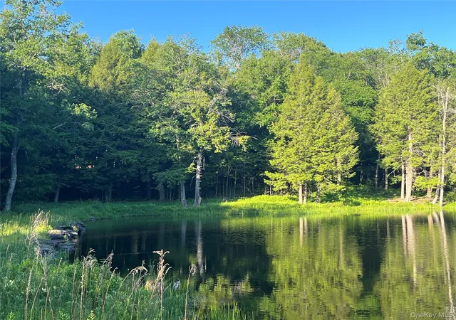 1st image of 4 Cold Creek Pass, Parksville, NY 12768 | MLS# 1013402