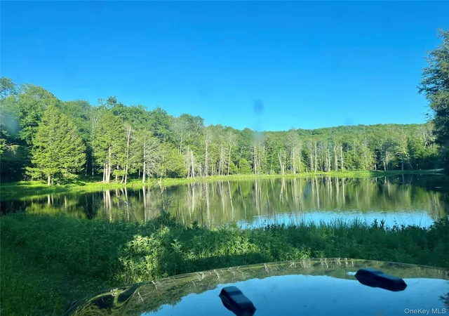 19th image of 4 Cold Creek Pass, Parksville, NY 12768 | MLS# 1013402