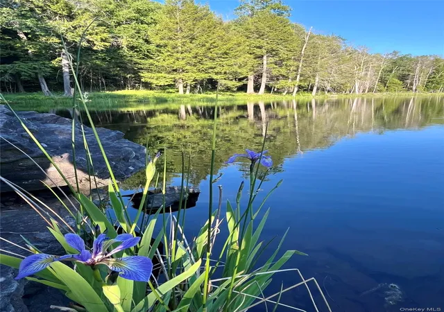 2nd image of 4 Cold Creek Pass, Parksville, NY 12768 | MLS# 1013402