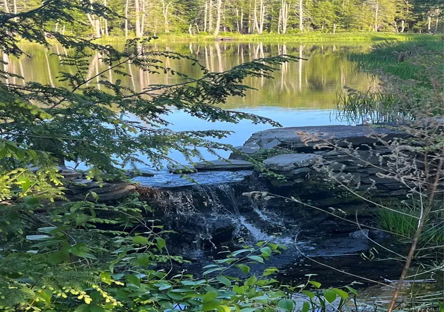 3rd image of 4 Cold Creek Pass, Parksville, NY 12768 | MLS# 1013402