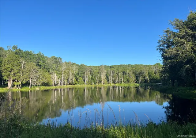 4th image of 4 Cold Creek Pass, Parksville, NY 12768 | MLS# 1013402