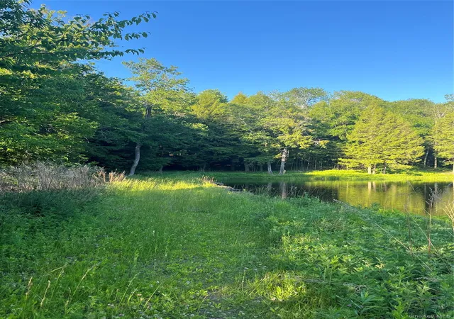 5th image of 4 Cold Creek Pass, Parksville, NY 12768 | MLS# 1013402