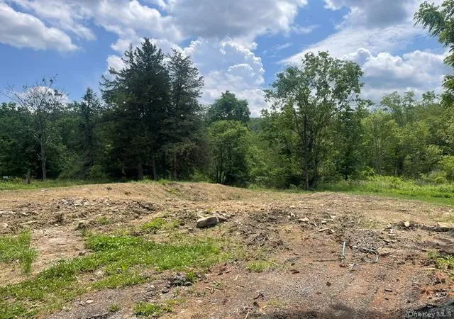 1st image of 429 Van Burenville Rd, Middletown, NY 10940 | MLS# 1013540