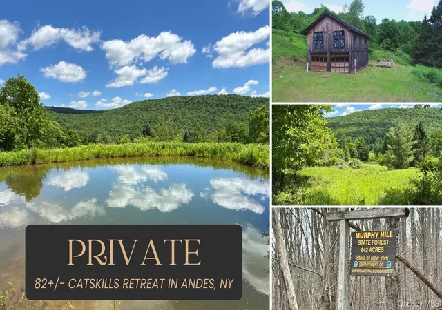 Homes for sale in Andes, NY | 2613 Murphy Hill Rd, Andes, NY 13731 | MLS# 1013921
