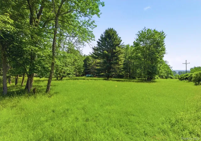 Homes for sale in Bethel, NY | Tbd Britman Rd, Bethel, NY 12720 | MLS# 1014106