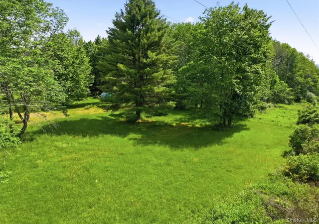 Homes for sale in Bethel, NY | Tbd Britman Rd, Bethel, NY 12720 | MLS# 1014106