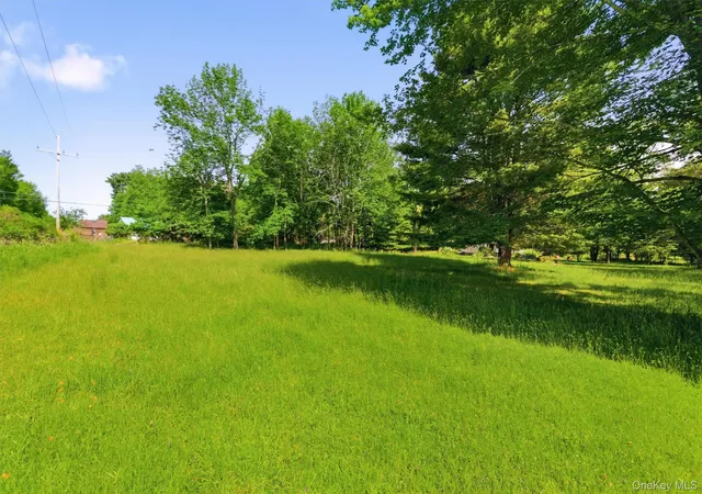 Homes for sale in Bethel, NY | Tbd Britman Rd, Bethel, NY 12720 | MLS# 1014106