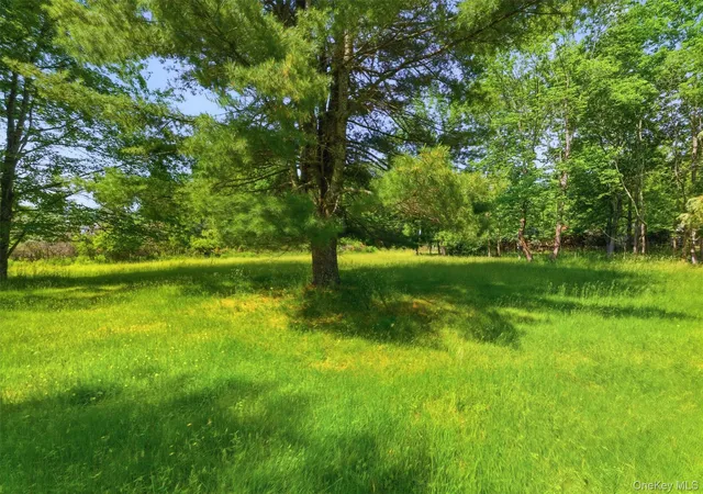 Homes for sale in Bethel, NY | Tbd Britman Rd, Bethel, NY 12720 | MLS# 1014106