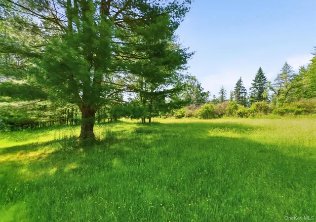 Homes for sale in Bethel, NY | Tbd Britman Rd, Bethel, NY 12720 | MLS# 1014106