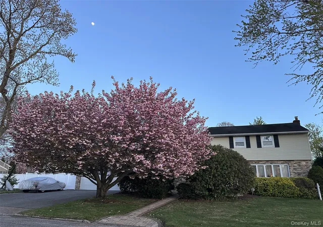 3rd image of 185 Tree Rd, Centereach, NY 11720 | MLS# 1014166