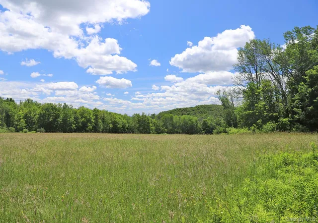 Homes for sale in Callicoon, NY | Dietz Rd, Callicoon, NY 12724 | MLS# 1014319