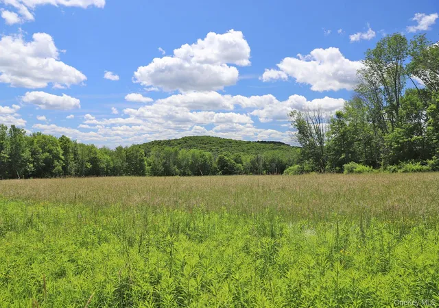 Homes for sale in Callicoon, NY | Dietz Rd, Callicoon, NY 12724 | MLS# 1014319
