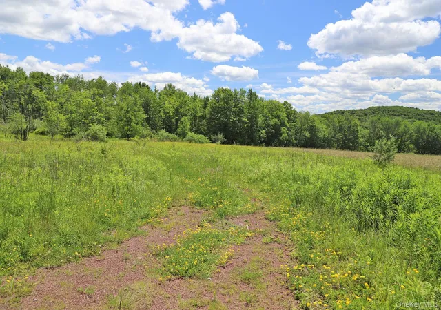 Homes for sale in Callicoon, NY | Dietz Rd, Callicoon, NY 12724 | MLS# 1014319