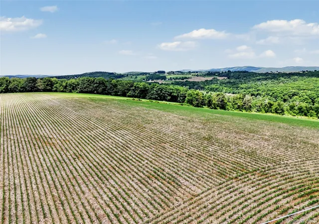 3rd image of 317 Skunks Misery Rd, Millerton, NY 12546 | MLS# 1014454