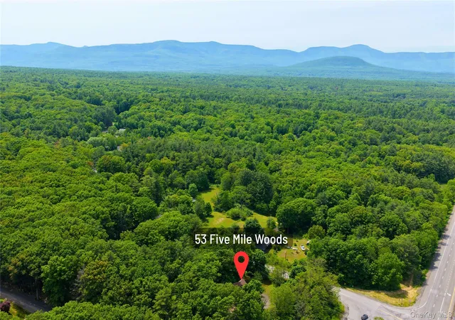 Homes for sale in Catskill, NY | 53 5 Mile Woods Rd, Catskill, NY 12414 | MLS# 1014527