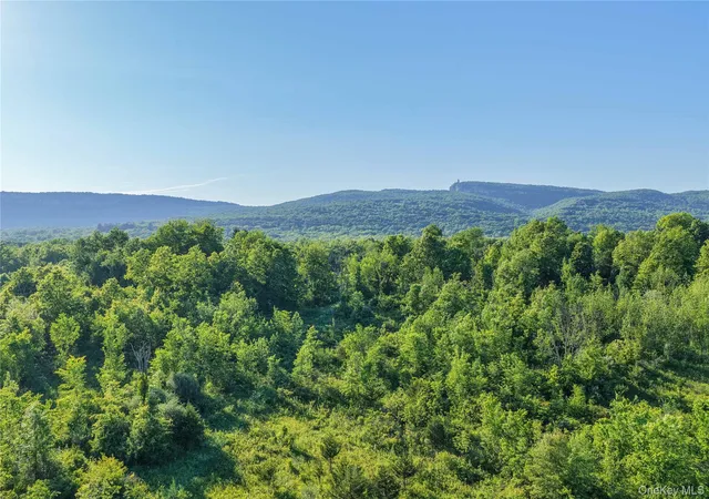 Photo 3 of Land for sale at 561 Albany Post Rd, New Paltz, NY 12561 | MLS# 1014628 | Listing updated on 2026-10-03