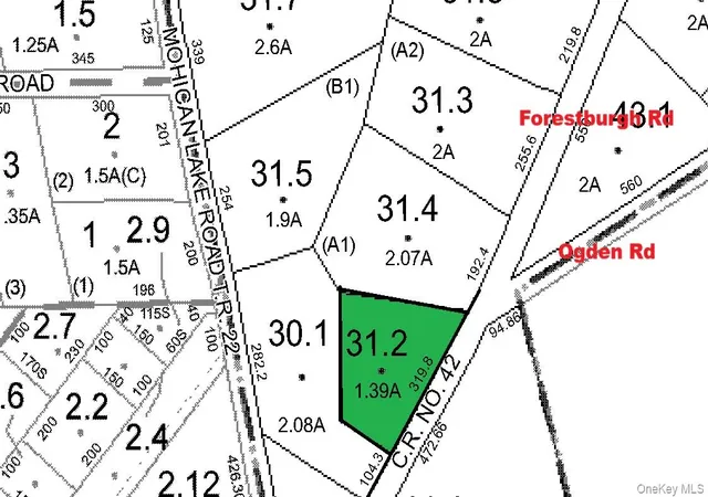 Homes for sale in Lumberland, NY | 1540 Forestburgh Rd, Lumberland, NY 12737 | MLS# 1014630