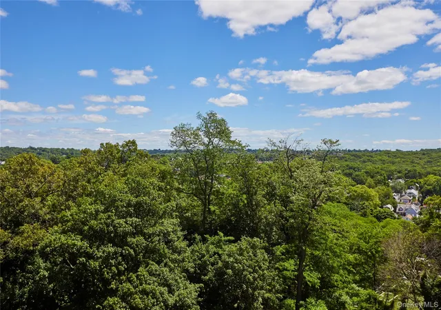 4th image of 5900 Arlington Ave #4B, New York, NY 10471 | MLS# 1015020