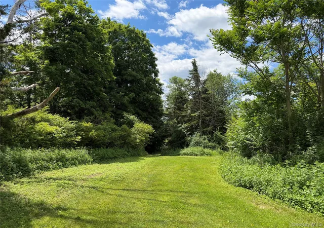 Homes for sale in Pine Plains, NY | Rt 199, Pine Plains, NY 12567 | MLS# 1015122