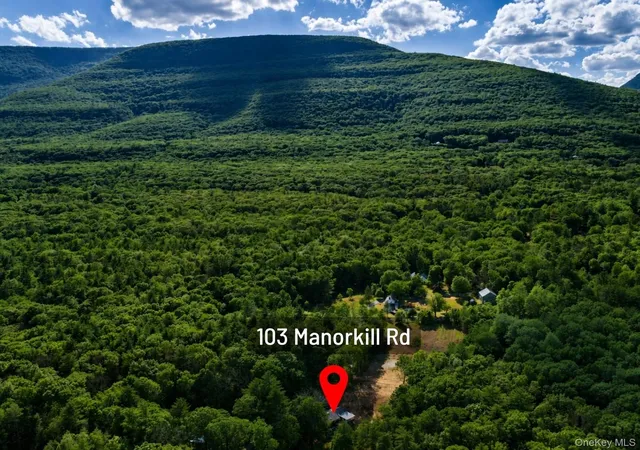 Homes for sale in Catskill, NY | 103 Manorkill Rd, Catskill, NY 12463 | MLS# 1015250