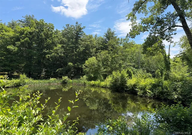 50th image of 286 Manor Rock Rd, Craryville, NY 12521 | MLS# 1015339