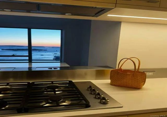 2nd image of 250 S St, New York, NY 10002
