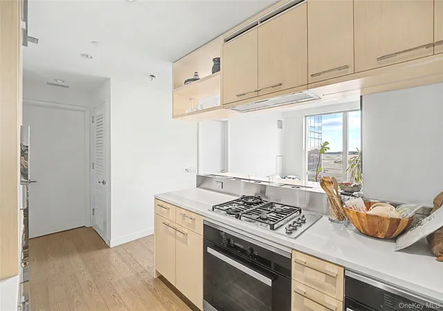 5th image of 250 South St #50N, New York, NY 10002 | MLS# 1015739
