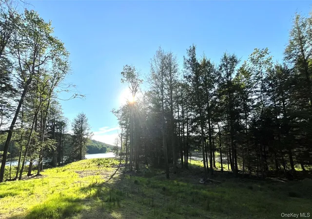 19th image of 47 Eagles Ridge Wy, Parksville, NY 12768 | MLS# 1015771