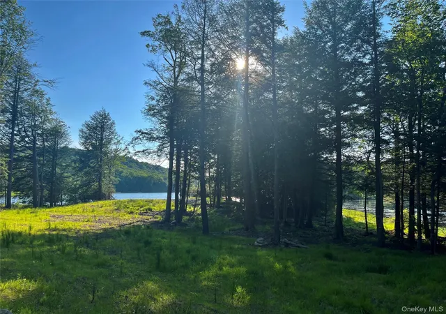 2nd image of 47 Eagles Ridge Wy, Parksville, NY 12768 | MLS# 1015771