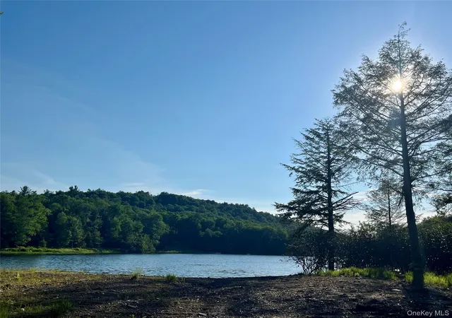 Photo 3 of Sale Pending at 47 Eagles Ridge Way, Parksville, NY 12768 | MLS# 1015771 | Listing updated on 2026-09-16