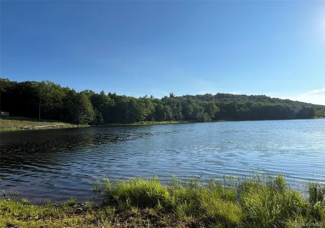 Photo 4 of Sale Pending at 47 Eagles Ridge Way, Parksville, NY 12768 | MLS# 1015771 | Listing updated on 2026-09-16