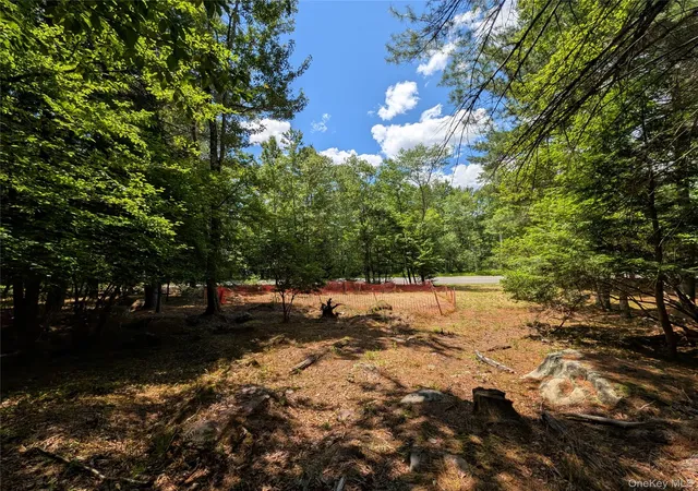Homes for sale in Bethel, NY | Ballard Rd, Bethel, NY 12720 | MLS# 1015783