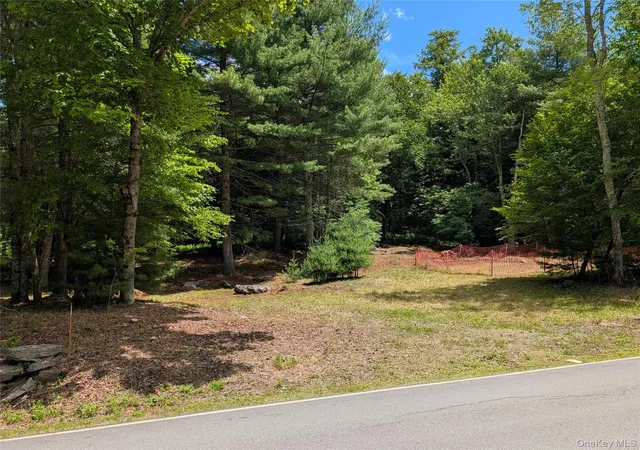Homes for sale in Bethel, NY | Ballard Rd, Bethel, NY 12720 | MLS# 1015783