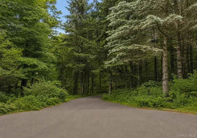 Homes for sale in Gallatin, NY | 117 Camp Rd, Gallatin, NY 12571 | MLS# 1016273