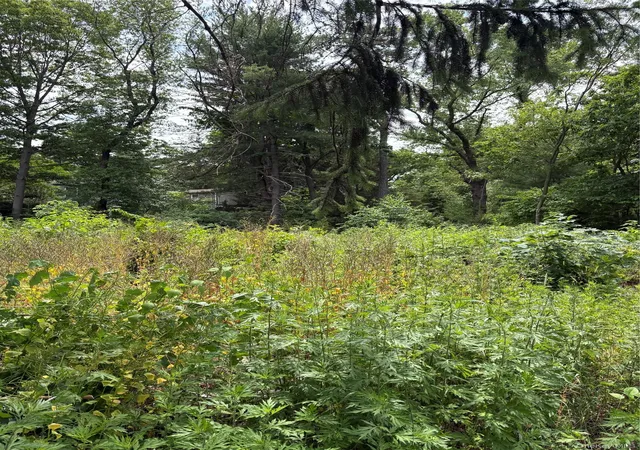 Photo 3 of Sale Pending at 33 Nichols Rd, Nesconset, NY 11767 | MLS# 1016285 | Listing updated on 2026-07-11