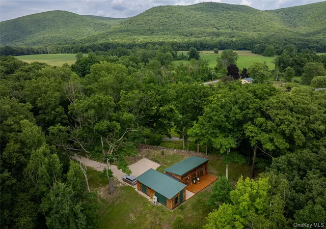 Homes for sale in Copake, NY | 60 Under Mountain Rd, Copake, NY 12516 | MLS# 1016385