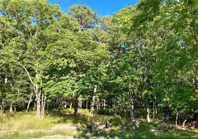 1st image of Granny Rd, Medford, NY 11763 | MLS# 1016489