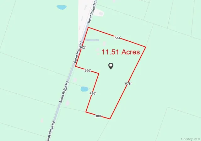 Homes for sale in Fallsburg, NY | 239 Burnt Ridge Rd, Fallsburg, NY 12754 | MLS# 1016492