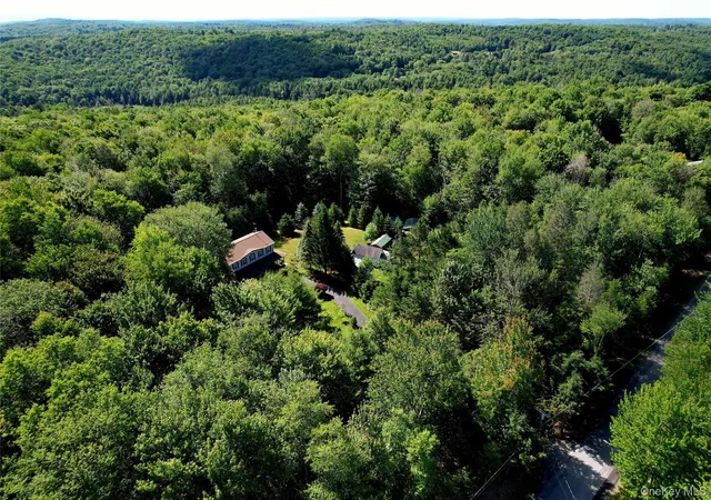 Homes for sale in Fallsburg, NY | 239 Burnt Ridge Rd, Fallsburg, NY 12754 | MLS# 1016492