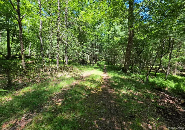 Homes for sale in Thompson, NY | Lot #7 Camp Kenny Brook Rd, Thompson, NY 12701 | MLS# 1016537