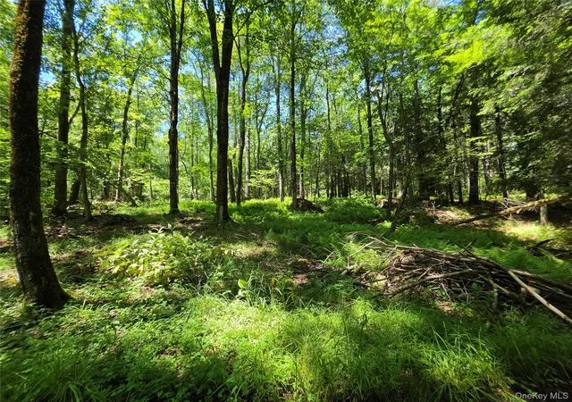 Homes for sale in Thompson, NY | Lot #7 Camp Kenny Brook Rd, Thompson, NY 12701 | MLS# 1016537