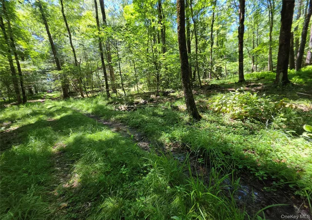 Homes for sale in Thompson, NY | Lot #7 Camp Kenny Brook Rd, Thompson, NY 12701 | MLS# 1016537