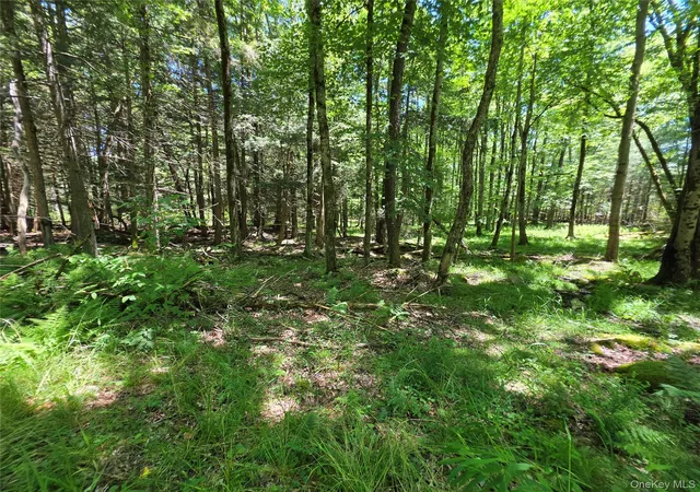 Homes for sale in Thompson, NY | Lot #7 Camp Kenny Brook Rd, Thompson, NY 12701 | MLS# 1016537
