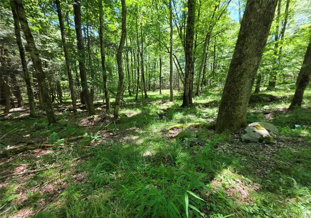 Homes for sale in Thompson, NY | Lot #7 Camp Kenny Brook Rd, Thompson, NY 12701 | MLS# 1016537