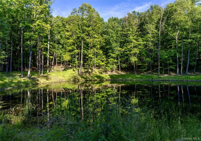 16th image of Mallory Rd, Union Vale, NY 12585 | MLS# 1016545
