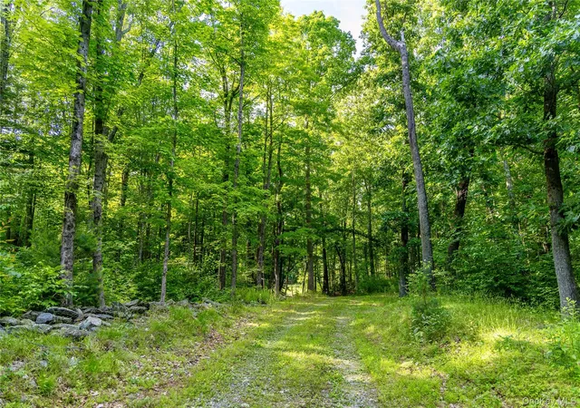 2nd image of Mallory Rd, Union Vale, NY 12585 | MLS# 1016545