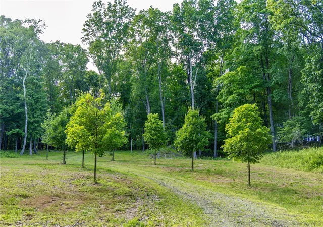 3rd image of Mallory Rd, Union Vale, NY 12585 | MLS# 1016545